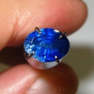 Ceylon Sapphire 1.50 carat