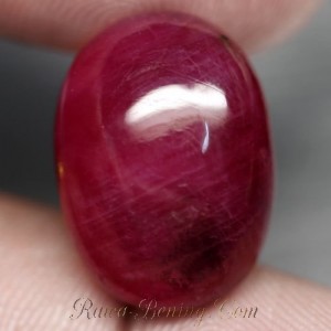 Top Blood Red Ruby 24.31 carat