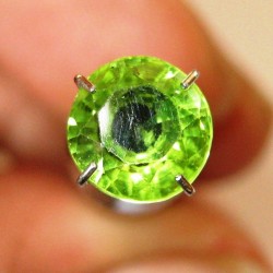 Batu Permata: Round Yellowish Green Peridot 1.66 carat