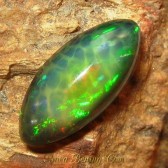 Batu Black opal Marquise Forest Neon 2.2 carat