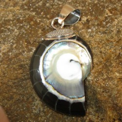 Liontin Silver Black Shell Pendant, Originally Import From Bethlehem