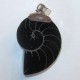 Liontin Silver Black Shell Pendant