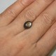 Black Star Sapphire 3.41 carat The Star is Up!