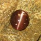 Reddish Brown Spectrolite Cat Eye 7.85cts