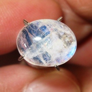 Blue Flash Moonstone 2.4 carat