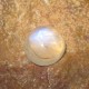 Round Moonstone 3.05 carat