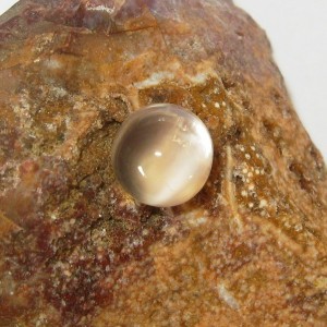 Round Cat Eye Moonstone 1.75 carat (Batu Biduri Bulan Mata Kucing)