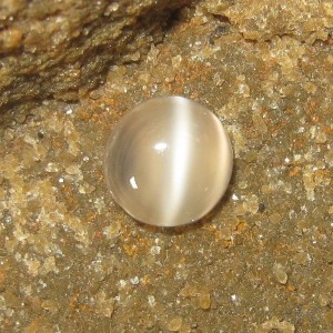 Round Cat Eye Moonstone 1.35 carat (Batu Mata Kucing Biduri Bulan)