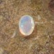 Opal Afrika 0.40 carat