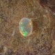 Opal Pelangi Neon 0.55