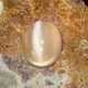 Batu Mulia Cats Eye Moonstone 3.03 carat