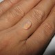 Floral Harlequin Opal 1.70 carat untuk cincin exclusive