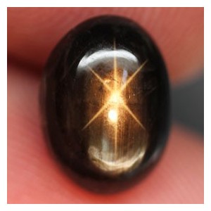 Natural Golden Black Star Sapphire 4.49 carat