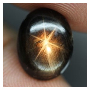 Golden Black Star Sapphire 5.26 carat