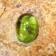 Yellowish Green Tourmaline 0.84 carat