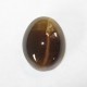 Oval Sillimanite Cat Eye Brown 4.37 carat