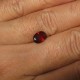 Oval Red Garnet 1.45 carat (gambaran ukuran dijari)