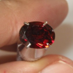 Pyrope Garnet Merah 1.40 carat
