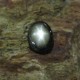 Black Star Sapphire 1.85 carat