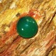 Batu Chyrosprase Hijau 1.68 carat Round Cabochon