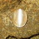 Batu Mulia Natural Cats Eye Moonstone 3.04 carat