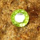 Round Yellowish Green Peridot 1.66 carat