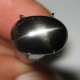 Black Star Diopside 4.77 carat