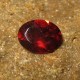 Batu Mulia Pyrope Garnet 1.50 carat Red Oval Cut