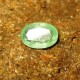 Light Green Emerald 0.65 carat