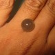 Greyish Brown Moonstone 7.65 carat