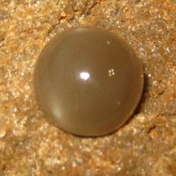 Greyish Brown Moonstone 7.65 carat