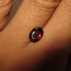 Garnet Merah Elegan 1.47 carat