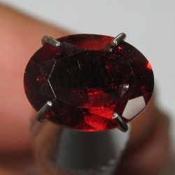 Batu Permata Garnet Pyrope Merah 1.37 carat Oval Cut