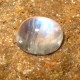 Batu Mulia Blue Flash Moonstone 3.14 carat Colorless