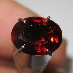 Pyrope Garnet Oval 1.35 carat Luster Bintik Merah