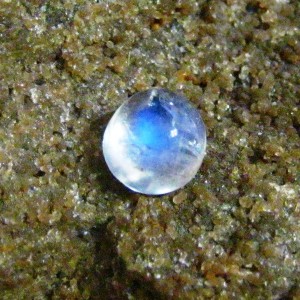 Batu Mulia Biduri Bulan Luster Biru 1.49 carat Round Cab
