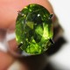 Oval Greenish Peridot 1.10 carat