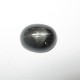 Black 4 Star Diopside 2.20 carat