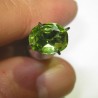 Oval Green Peridot 1.10 carat