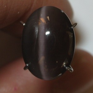 Greyish Black Cat Eye Sillimanite 3.95 carat