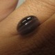 Blackish Cat Eye Sillimanite 2.88 carat