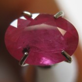 Ruby Oval Pigeon Blood 1.59 carat