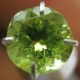 Round Cut Peridot Greenish 1.00 carat