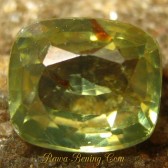 Sale Batu Mulia Berkualitas Cushion Greenish Yellow Zircon 1.82 carat www.rawa-bening.com