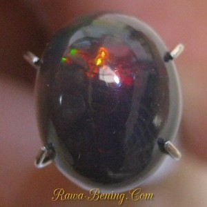 Jual Batu Mulia Kalimaya Oval Cab Floral Black Opal 2.05 carat