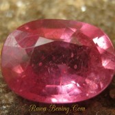 Oval Pinkish Red Ruby 1.00 carat