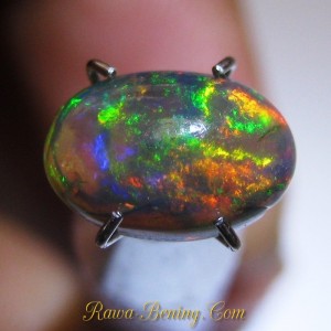Batu Mulia Natural Black Opal Multi Color Play 1.15 carat www.rawa-bening.com