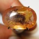 Cahaya Luster Batu Safir Kuning Madu Oval Cut 4.55 Carat