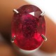 Batu Permata Ruby Merah Afrika Oval Cut 1.87 carat