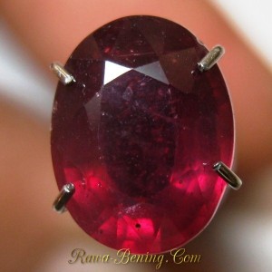 Oval Red Ruby 2.50 carat Top Fire Luster
